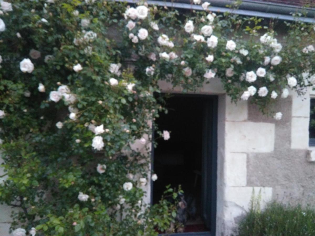 Villa Au Jardin De La Marquetterie Cigogne Exterior foto